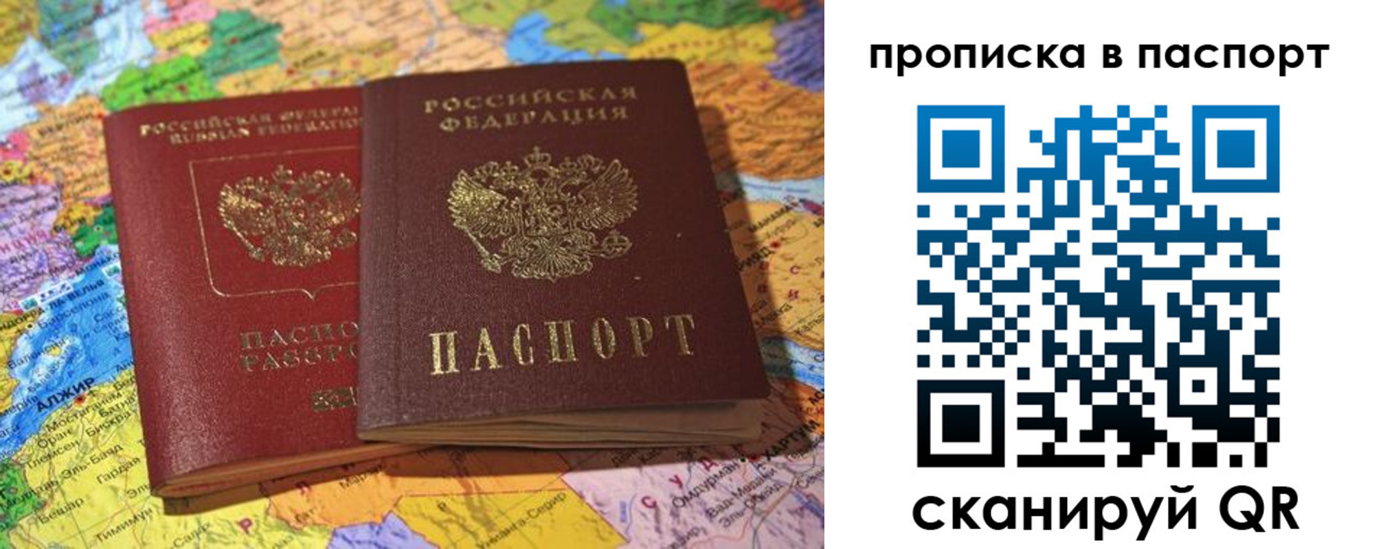 прописка гарантия в Камызяке